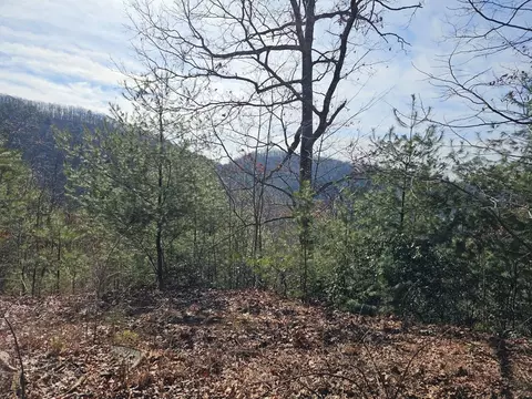51 Kudzu Creek Trl, Murphy, NC 28906 photo 5