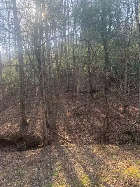 lot12 Rainbow Valley Dr, Murphy, NC 28906 photo 16