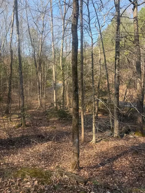lot12 Rainbow Valley Dr, Murphy, NC 28906 photo 10
