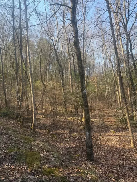 lot12 Rainbow Valley Dr, Murphy, NC 28906