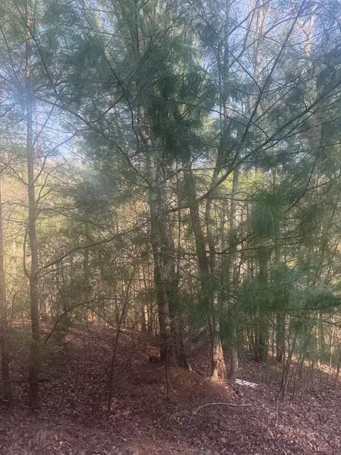 lot12 Rainbow Valley Dr, Murphy, NC 28906 photo 7