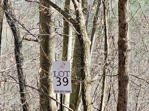lot39 Merlin Trl Warbler Rd, Murphy, NC 28906 photo 5
