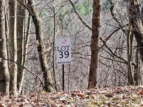 lot39 Merlin Trl Warbler Rd, Murphy, NC 28906 photo 21