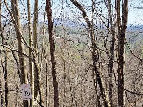 lot39 Merlin Trl Warbler Rd, Murphy, NC 28906 photo 16