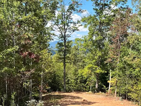 Other - 189 Hideout Ln, Murphy, NC 28906 photo 5 of 6