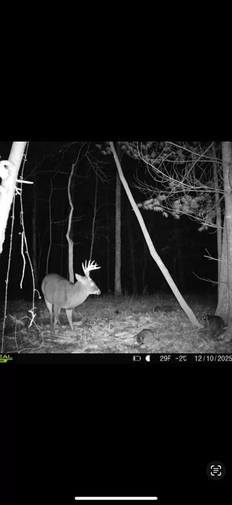 00 Shady Grove Rd, Murphy, NC 28906 photo 11