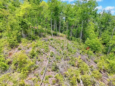 lot28 Bryson Crk, Murphy, NC 28906 photo 15