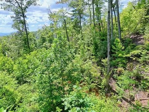 lot28 Bryson Crk, Murphy, NC 28906 photo 3