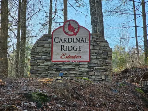 16 Merlin Trl, Murphy, NC 28906 photo 8