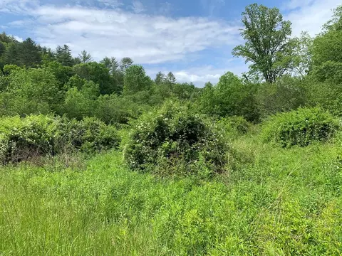 17 76 Ac Greasy Creek Rd, Murphy, NC 28906 photo 10