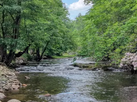 View/Area - 515 Barlow Fields Dr, Hayesville, NC 28904 photo 1 of 2