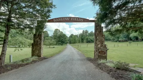 Other - 515 Barlow Fields Dr, Hayesville, NC 28904 photo 9 of 9