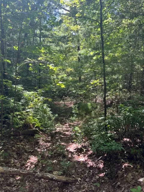 lot6 7 Donley Rd, Murphy, NC 28906 photo 13