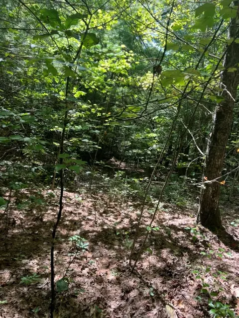 lot6 7 Donley Rd, Murphy, NC 28906 photo 12