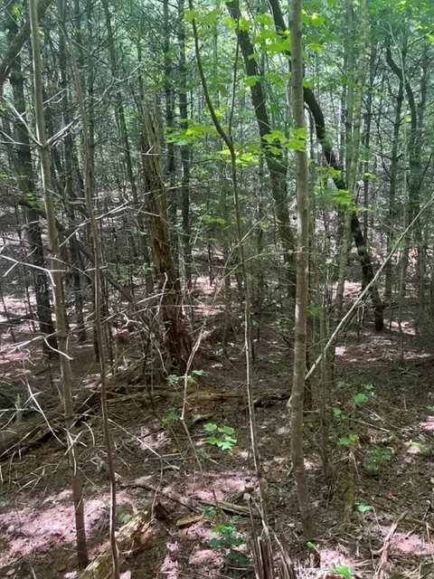 lot6 7 Donley Rd, Murphy, NC 28906 photo 8