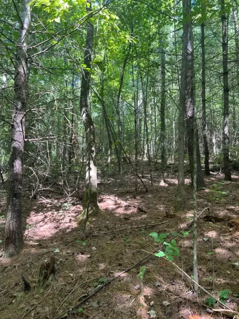 lot6 7 Donley Rd, Murphy, NC 28906 photo 5