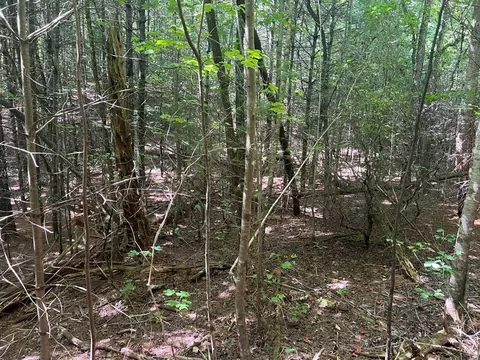 lot6 7 Donley Rd, Murphy, NC 28906 photo 7