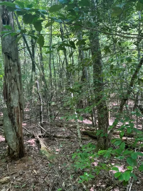 lot6 7 Donley Rd, Murphy, NC 28906 photo 10