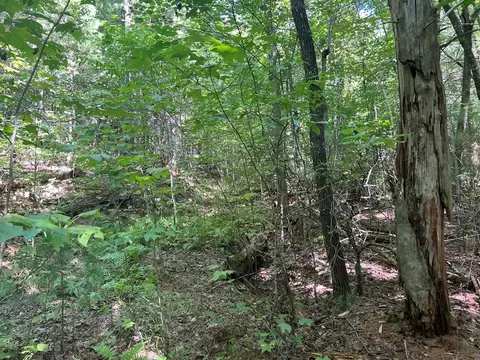 lot6 7 Donley Rd, Murphy, NC 28906 photo 9