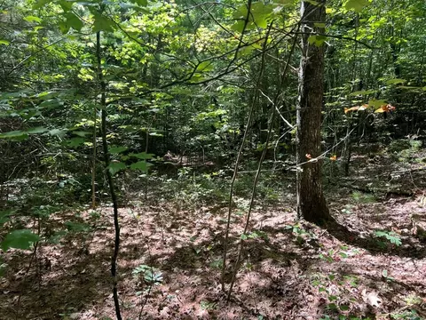 lot6 7 Donley Rd, Murphy, NC 28906 photo 11