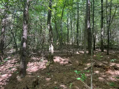 lot6 7 Donley Rd, Murphy, NC 28906 photo 6