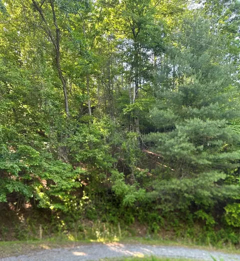lot38 River Rdg, Murphy, NC 28906 photo 13