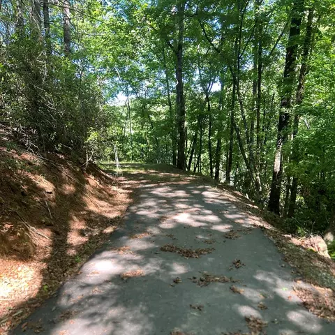 lot38 River Rdg, Murphy, NC 28906 photo 16