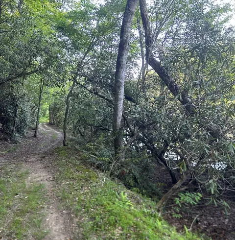 lot38 River Rdg, Murphy, NC 28906 photo 11