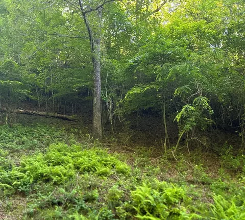 lot38 River Rdg, Murphy, NC 28906 photo 6