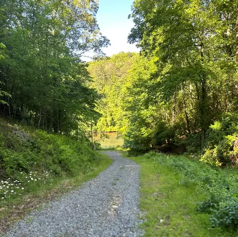 lot38 River Rdg, Murphy, NC 28906 photo 5