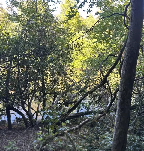 lot38 River Rdg, Murphy, NC 28906 photo 9