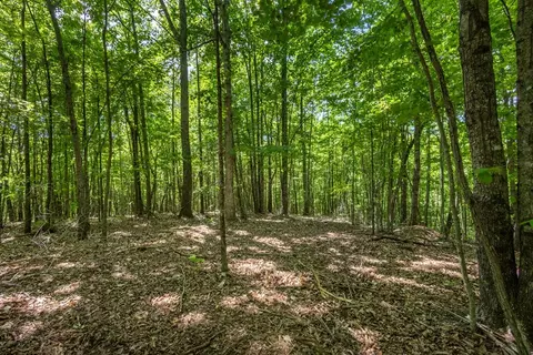 20 Ac Pack Mountain Rd, Murphy, NC 28906 photo 9