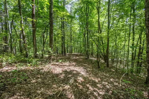 20 Ac Pack Mountain Rd, Murphy, NC 28906 photo 5
