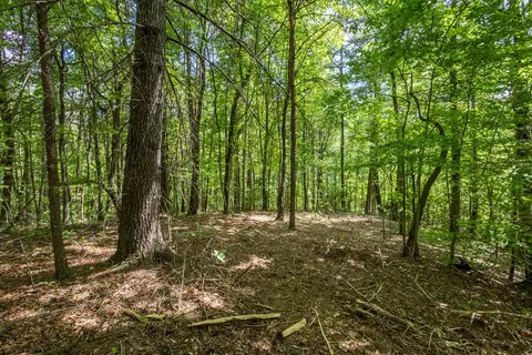20 Ac Pack Mountain Rd, Murphy, NC 28906 photo 4