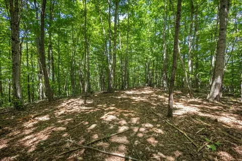 20 Ac Pack Mountain Rd, Murphy, NC 28906 photo 8