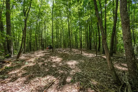 20 Ac Pack Mountain Rd, Murphy, NC 28906 photo 6