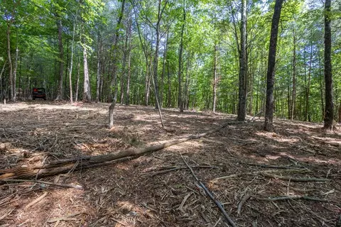 20 Ac Pack Mountain Rd, Murphy, NC 28906