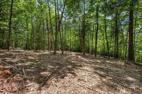 20 Ac Pack Mountain Rd, Murphy, NC 28906 photo 13