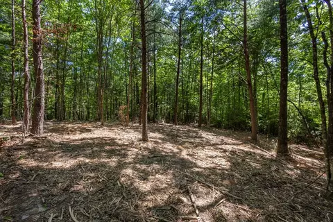 20 Ac Pack Mountain Rd, Murphy, NC 28906 photo 14