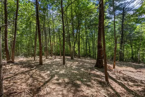 20 Ac Pack Mountain Rd, Murphy, NC 28906 photo 12