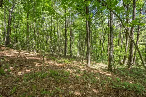 20 Ac Pack Mountain Rd, Murphy, NC 28906 photo 3