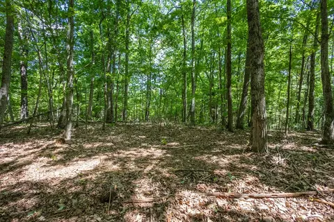 20 Ac Pack Mountain Rd, Murphy, NC 28906 photo 7