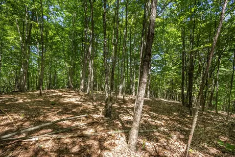 20 Ac Pack Mountain Rd, Murphy, NC 28906 photo 10