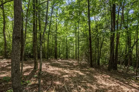 20 Ac Pack Mountain Rd, Murphy, NC 28906 photo 16