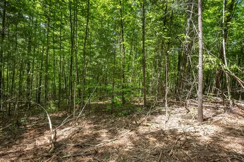 20 Ac Pack Mountain Rd, Murphy, NC 28906 photo 15