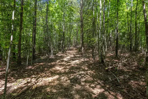 20 Ac Pack Mountain Rd, Murphy, NC 28906 photo 11