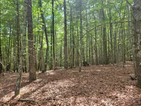 44 Sugar Maple Rd, Murphy, NC 28906 photo 5