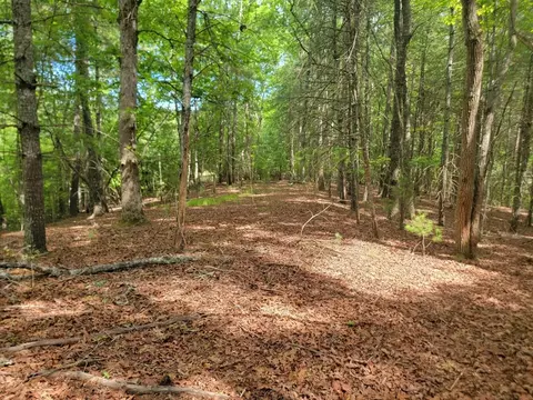 44 Sugar Maple Rd, Murphy, NC 28906 photo 3