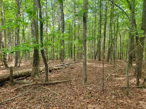 44 Sugar Maple Rd, Murphy, NC 28906 photo 6