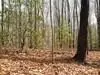 lot25 N Laurel Mountain Dr, Brasstown, NC 28902